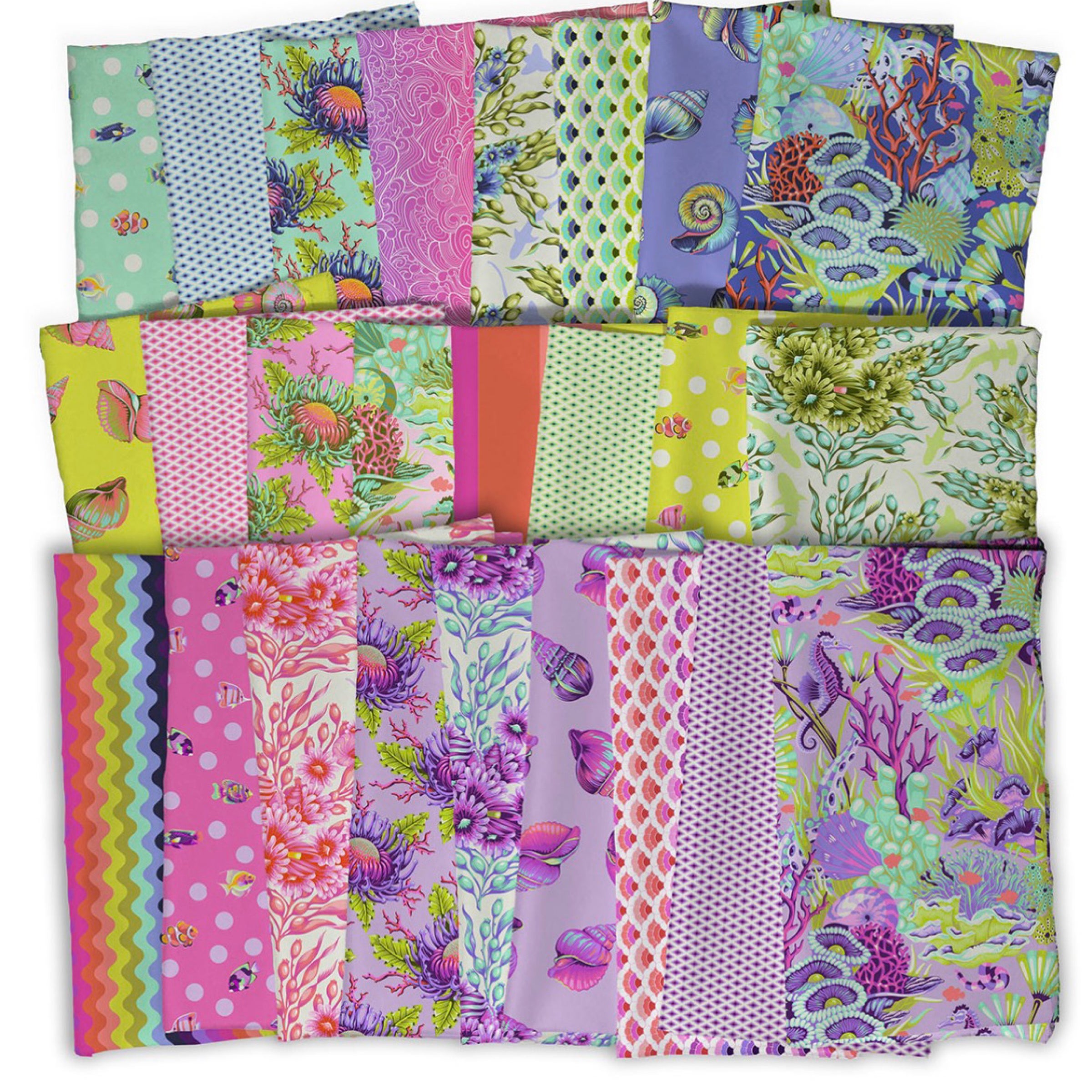 Exciting Information! | Sewciety Quilt Co.